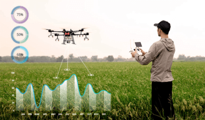 Aerial view of a drone gliding above a vast corn field, capturing the lush greenery and agricultural landscape.